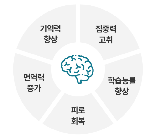  산소발생기 오투나라 시스템으로 사무실이 달라졌어요!