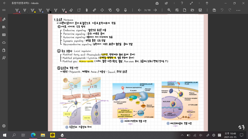 [공부]lg그램 2in1 필기앱 inkodo 후기 : 네이버 블로그