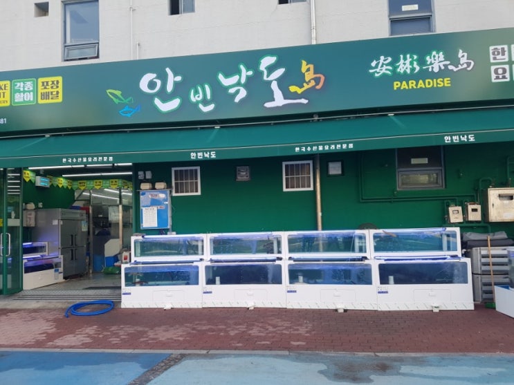  가성비 좋고 맛도좋은 대구 회집