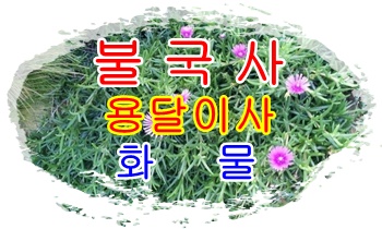 불국사용달 양북 감포 운송.