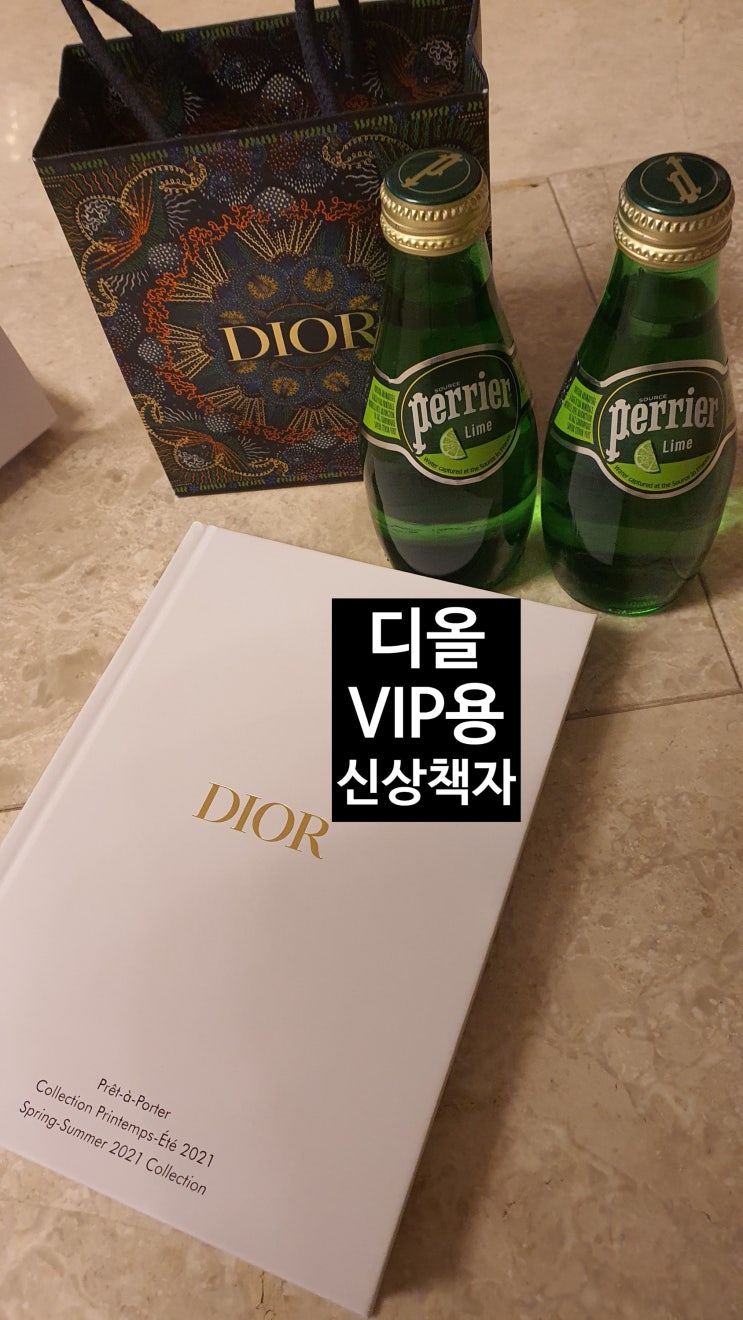  2021ss 디올 신상 vip용 디올책+ 명품vip들을 위한 선물- 디올 신상옷 구경 [고을의 명품스토리]