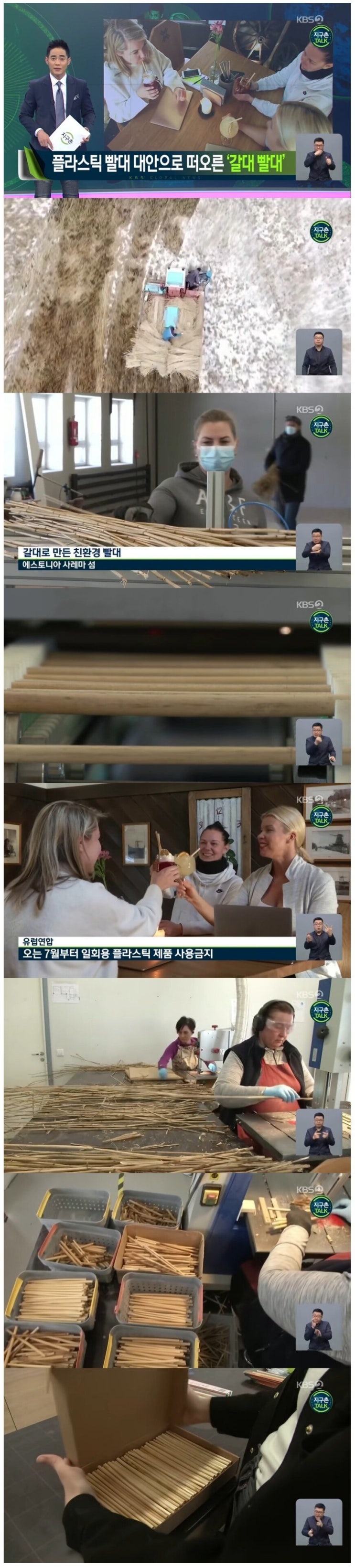  갈대까지 간 빨대 근황...jpg