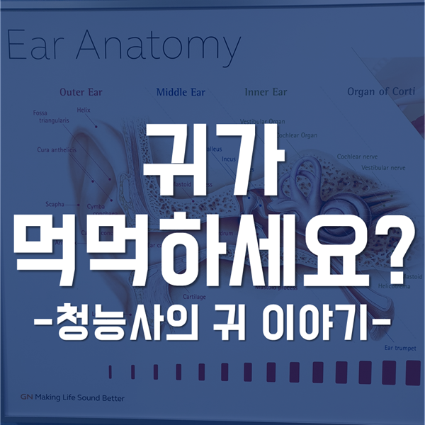 귀가 먹먹할때 - "귀가 멍해요"에 대한 이비인후과 귀 전문가가 알려주는 정보!