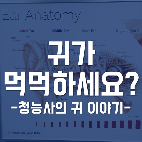  귀가 먹먹할때 - "귀가 멍해요"에 대한 이비인후과 귀 전문가가 알려주는 정보!