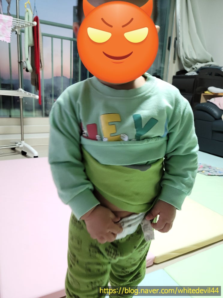 [19개월] 기저귀 떼는 시기가 다 되었나? (feat. 아직은 이르잖아!!)