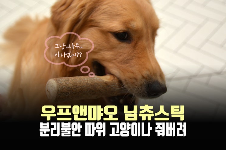  강아지 분리불안 우프앤먀오 님츄스틱으로 해결, 스트레스해소 치석제거에도 추천!