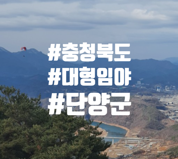  충청북도 단양군 대형 임야 매매