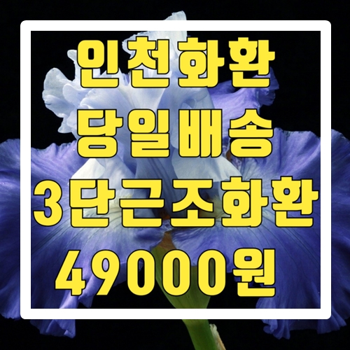  인천화환  당일배송 3단근조화환 49000원