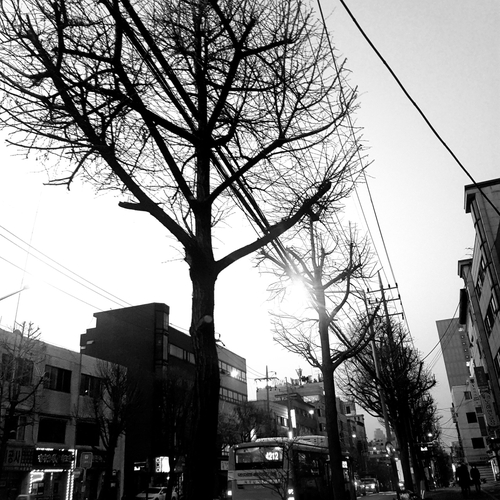  '오하운' (오늘하루운동)족의 운동기록지