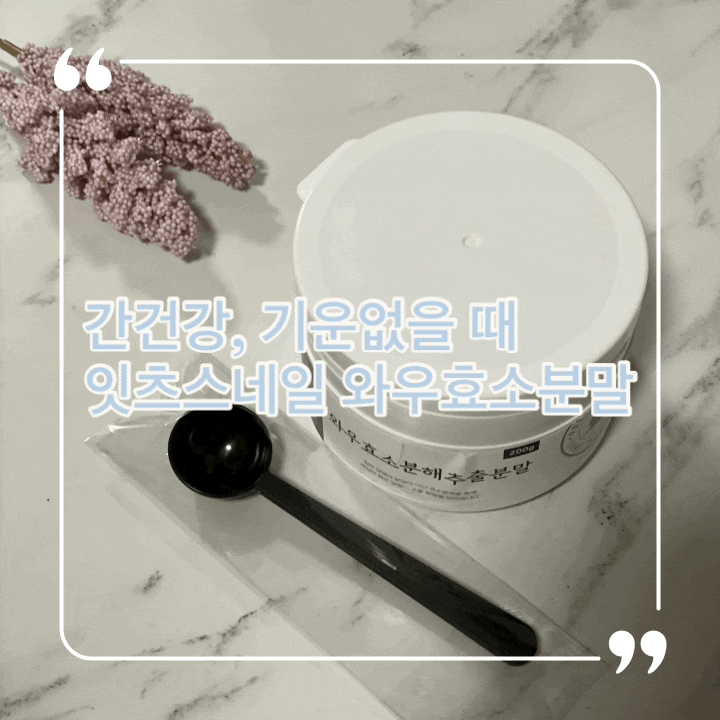  간건강 기운없을 때 몸에 좋은 차 잇츠스네일 와우효소분해추출분말