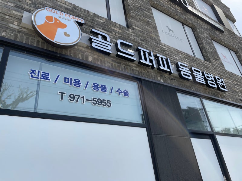 공릉동 동물병원 : 개가 짖는 8가지 이유