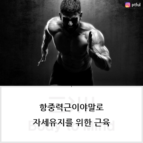  항중력근이야말로 자세유지를 위한 근육