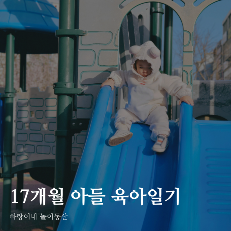  17개월아기 성장기록 육아일기 D+523~526
