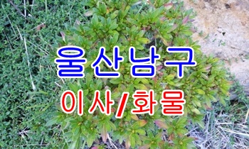 울산남구용달 삼산동 신정동.