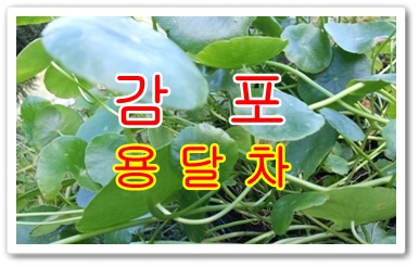 감포용달 구룡포 운송합니다. 감포용달 구룡포 운송합니다.