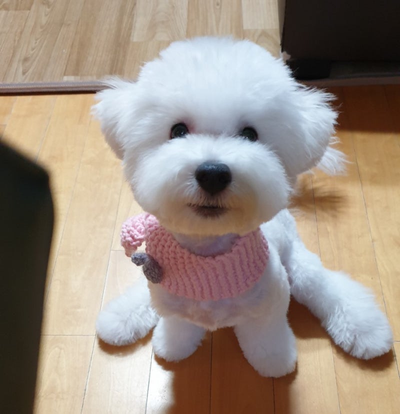 사진 4