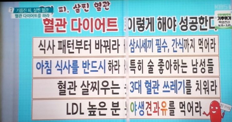  혈관 다이어트 성공법 (ft. 나쁜 콜레스테롤 낮추는 음식 야생견과유)