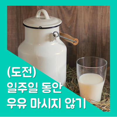  지구를 지키자 7. 일주일간 우유 먹지 않기 (도전)