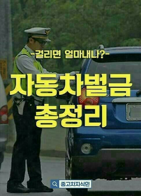  자동차 벌금 총정리