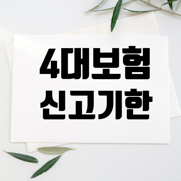  신입사원 4대보험 신고 기한