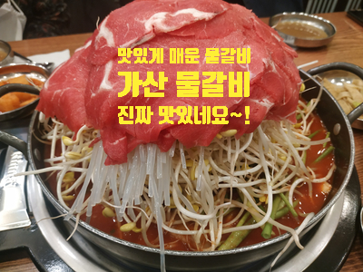  [가산디지털단지 맛집] 가산 물갈비에서 산더미물갈비 배 터지게 먹고 왔어요~~!!! / 얼큰한 갈비 맛집 / 맛있는 물갈비 맛집