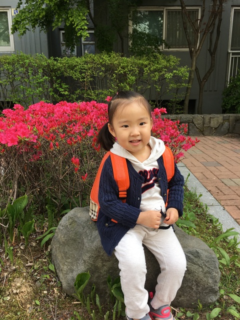  39개월 발달 - 꽃을 좋아하는 딸
