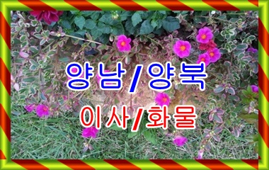 양남용달 정자 감포 출발. 양남용달 정자 감포 출발.