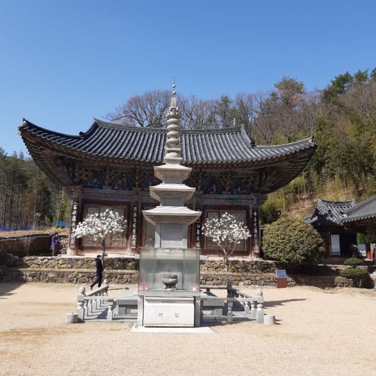  기장 장안사 가는 길(봄이 오고 있어요!)