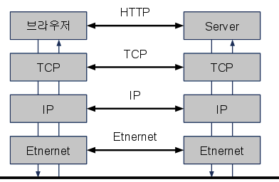 IP, TCP, UDP, PORT, DNS