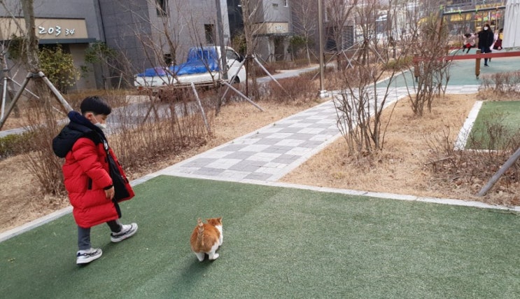  나는 좋은 엄마일까