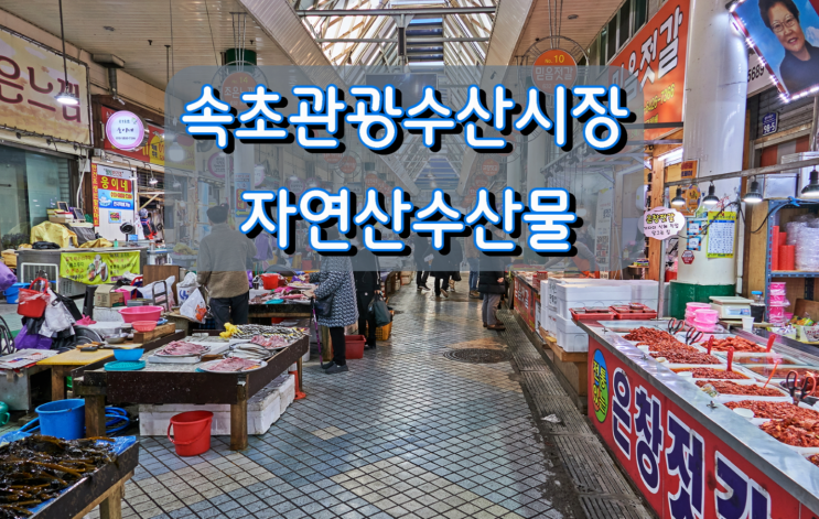 속초관광수산시장 자연산수산물 속초관광수산시장 자연산수산물