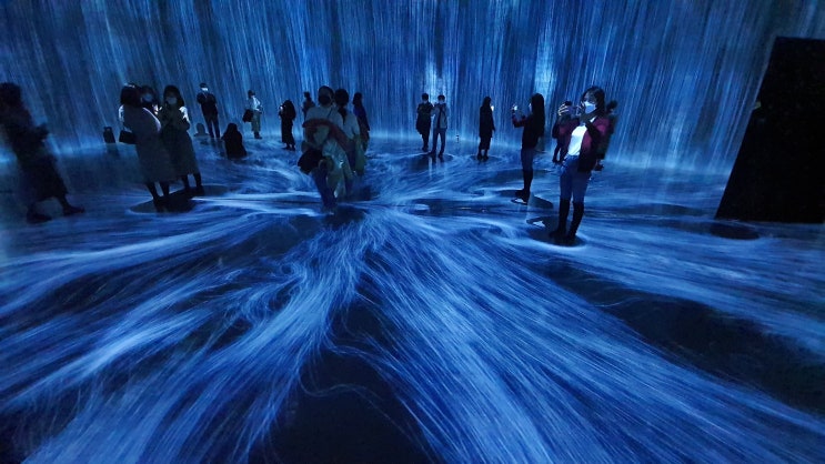  DDP 팀랩 라이프 teamLab LIFE 전시 일정 마감 임박