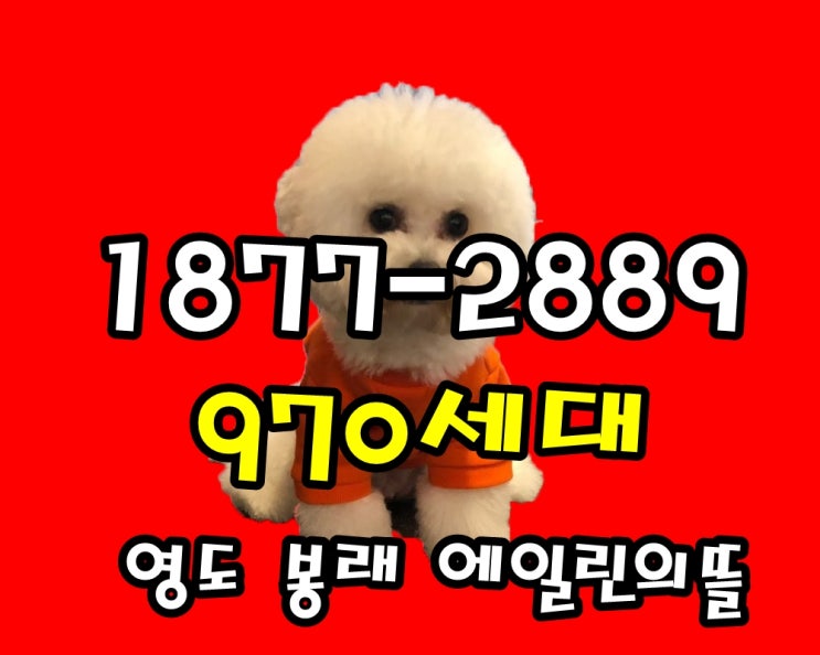  봉래 오션 에일린의뜰 오션뷰 아파트 늦지않게 잡으세요