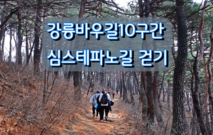 오랫만에 강릉바우길10구간 심스테파노길 걷기 오랫만에 강릉바우길10구간 심스테파노길 걷기