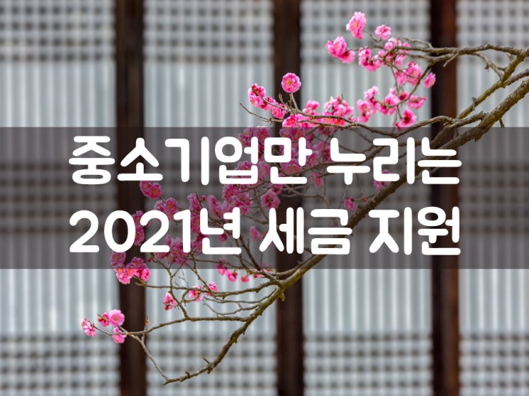  중소기업만 누리는 2021년 세금 지원