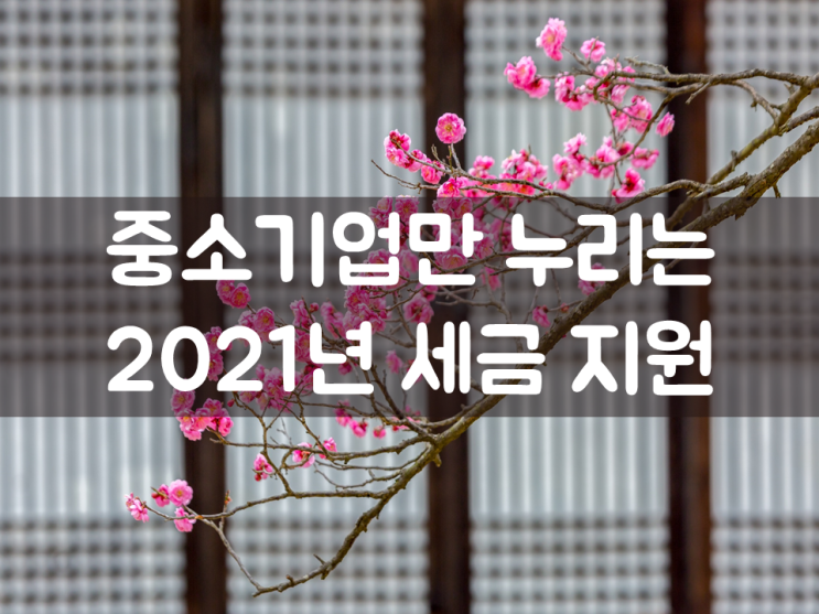 중소기업만 누리는 2021년 세금 지원