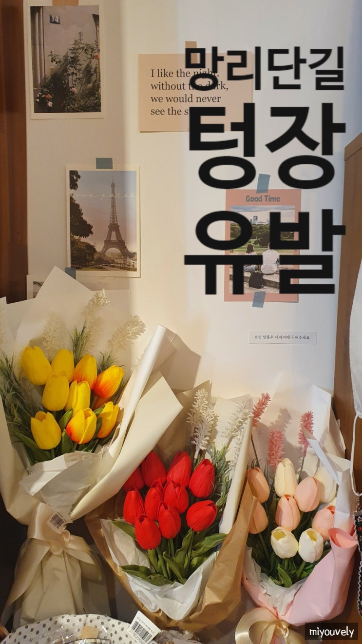  망리단길 소품샵 모아성 Feat 아이러브올마이스터프