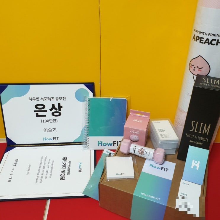  [하우핏 서포터즈 1기] 홈트게더 1기 1+2차 미션 후기 / 신한생명 AI 홈트 앱