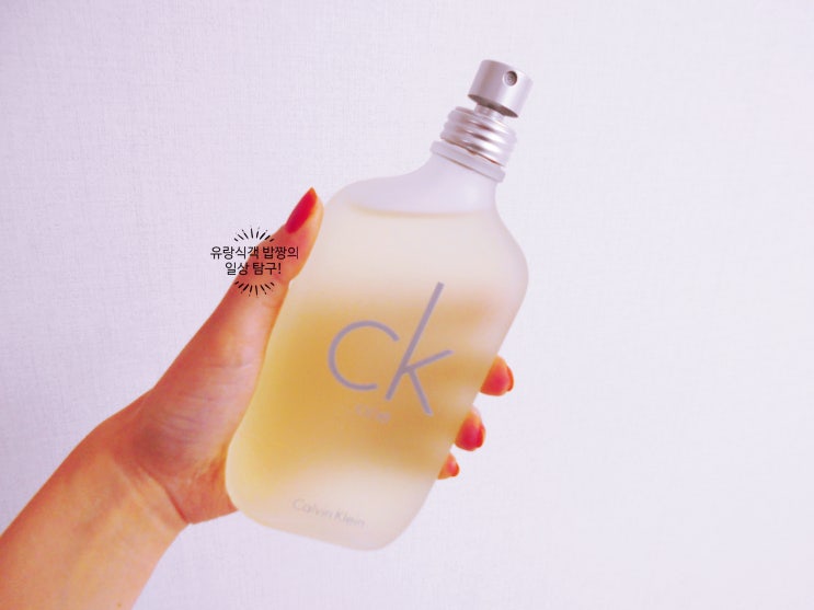  롭스 선물하기 좋은 향수 행사 대용량 추천! CK 원 EDT_씨케이 원 오 드  뚜왈렛