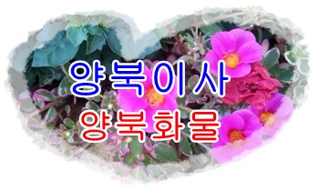양북용달 불국사 감포 운송.