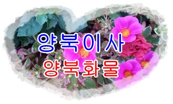 양북용달 불국사 감포 운송. 양북용달 불국사 감포 운송.