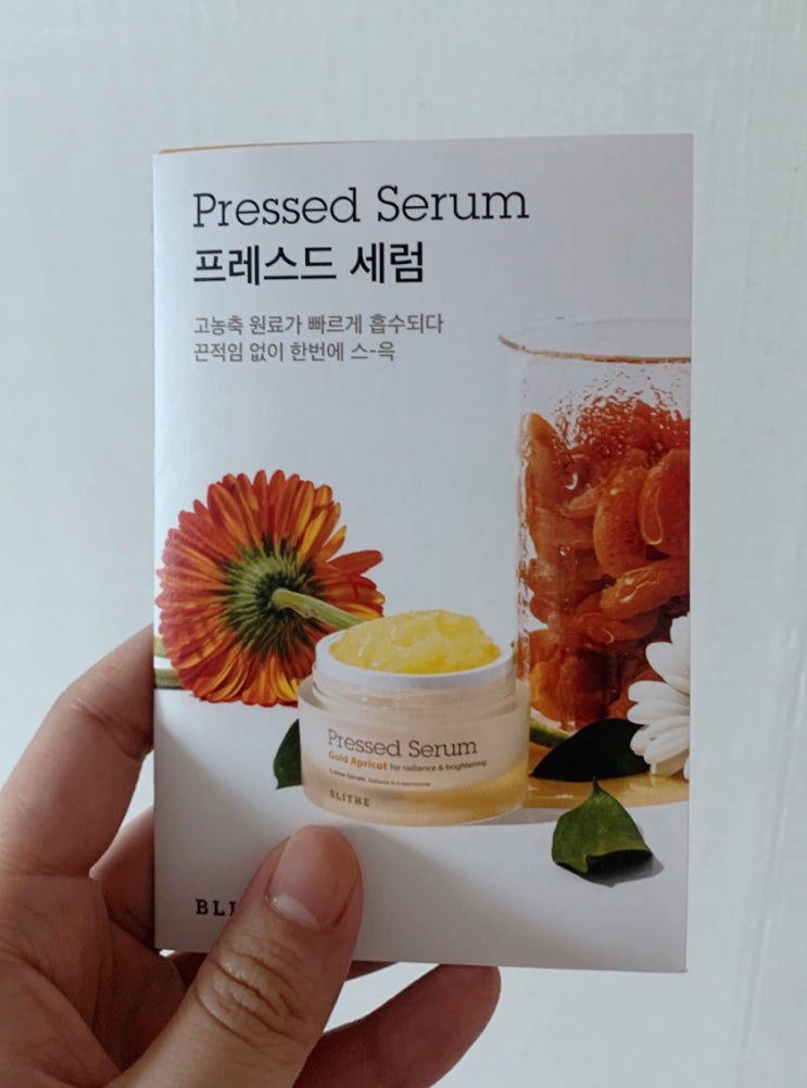  일상5 - 블라이드샘플, 쿠키, 스타벅스벚꽃메뉴
