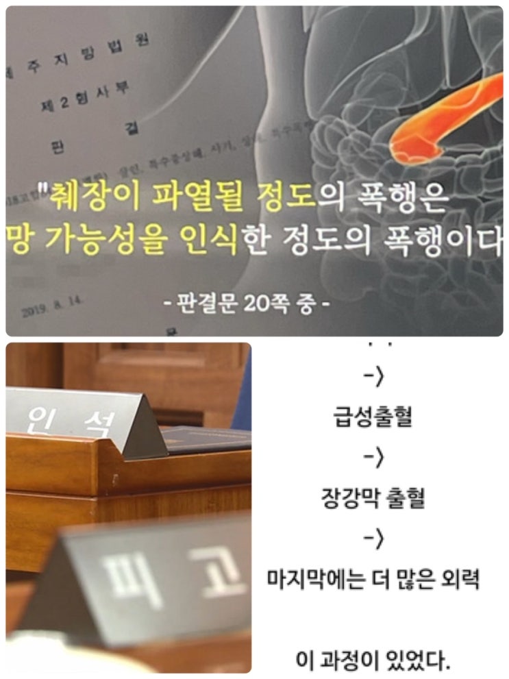 정인이 재판 4차 공판 내용 정리 부검 감정의 고층에서 추락하거나 교통사고에서나 볼수있는 심각한 손상 상태였다