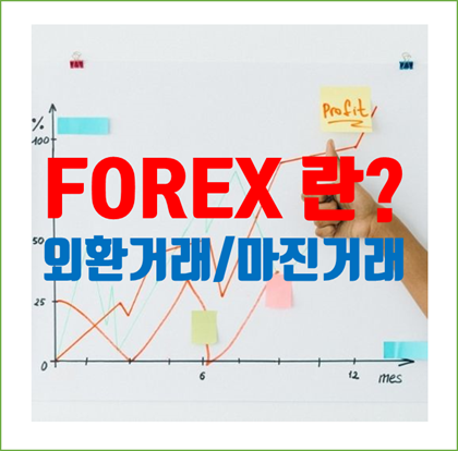  [FOREX] 외환거래 / 마진거래 입문자 공부. 이 정도만 알아도 시작이 반 '50% 터득'