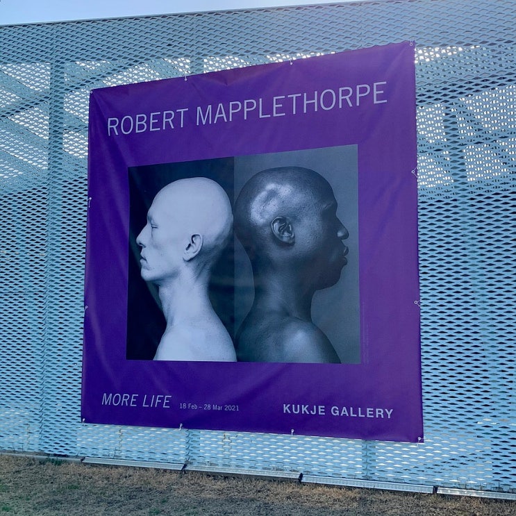  #210318 국제갤러리 부산점 - 로버트 메이플소프 Robert Mapplethorpe : More Life(~3.28)
