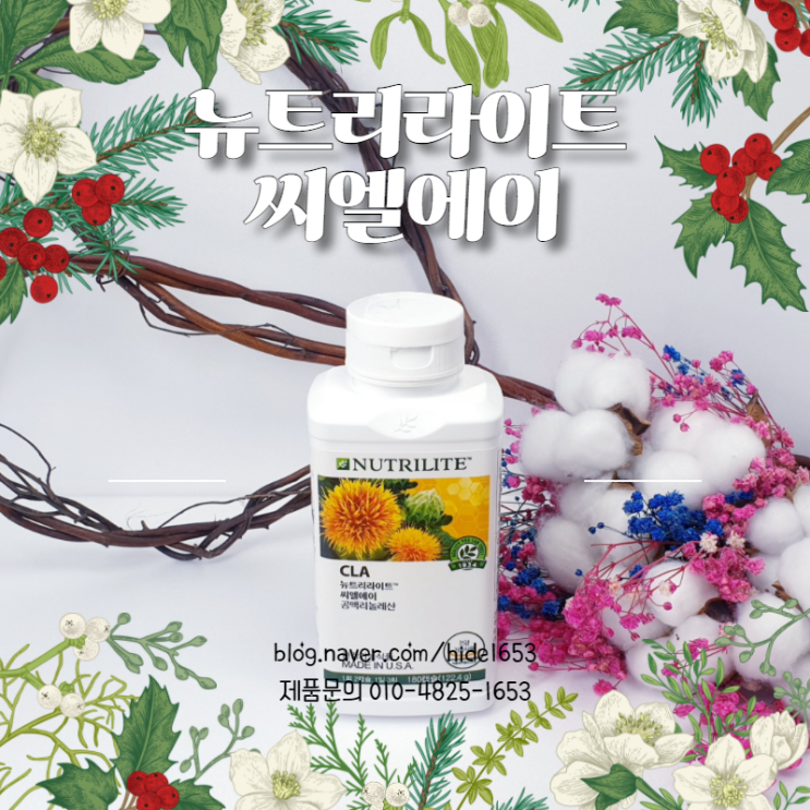  암웨이 뉴트리라이트 씨엘에이(CLA, 다이어트, 체지방감소, 홍화유추출, 효과적 살빼기)