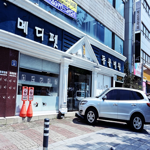  대구동물병원 수성구동물병원 종합건강검진 가능한 곳 메디펫동물병원