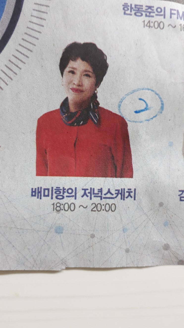 배미향의 저녁스케치 배미향의 저녁스케치