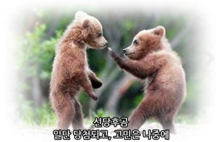  선당후곰... 선당후곰... 롯데캐슬 드메르 청약