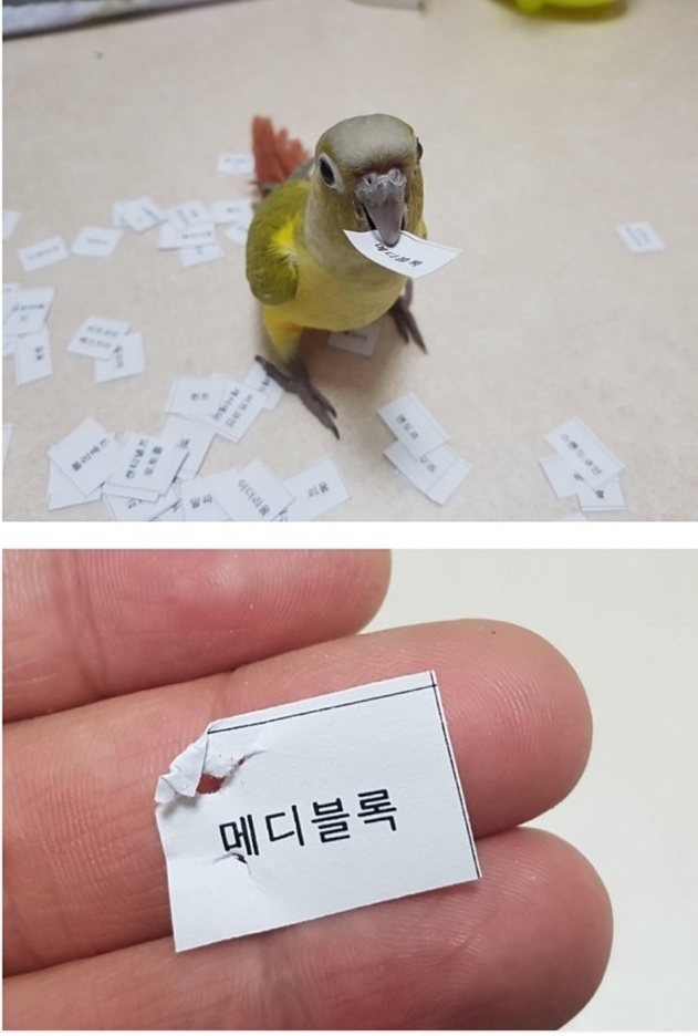  예전엔 박씨를 물어 왔다는데